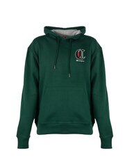 Champion Толстовка с капюшоном Hoodie - HBGF89H586NKA - Зеленый  regular fit HBGF89H586NKA цена и информация | Мужские толстовки | 220.lv