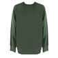 Champion džemperis vīriešiem D918X6, zaļš цена и информация | Vīriešu džemperi | 220.lv