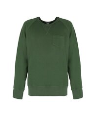 Champion džemperis vīriešiem D918X6, zaļš цена и информация | Мужские свитера | 220.lv
