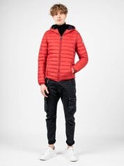Invicta Куртка Down Jacket - 4431449 - Красный  regular fit 4431449 цена и информация | Мужские куртки | 220.lv