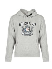 Guess Толстовка с капюшоном - M1YQ59K9W01 - Серый  regular fit M1YQ59K9W01 цена и информация | Мужские толстовки | 220.lv