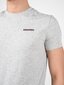 T-krekls vīriešiem Dsquared2 D9M203040, pelēks cena un informācija | Vīriešu T-krekli | 220.lv