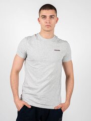 T-krekls vīriešiem Dsquared2 D9M203040, pelēks цена и информация | Мужские футболки | 220.lv