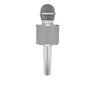 Karaoke mikrofons, sudraba цена и информация | Mikrofoni | 220.lv
