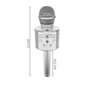 Karaoke mikrofons, sudraba cena un informācija | Mikrofoni | 220.lv
