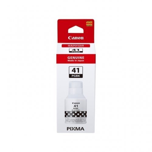 Canon Ink Cartridge GI-41PGBK 4528C001, Black цена и информация | Tintes kārtridži | 220.lv