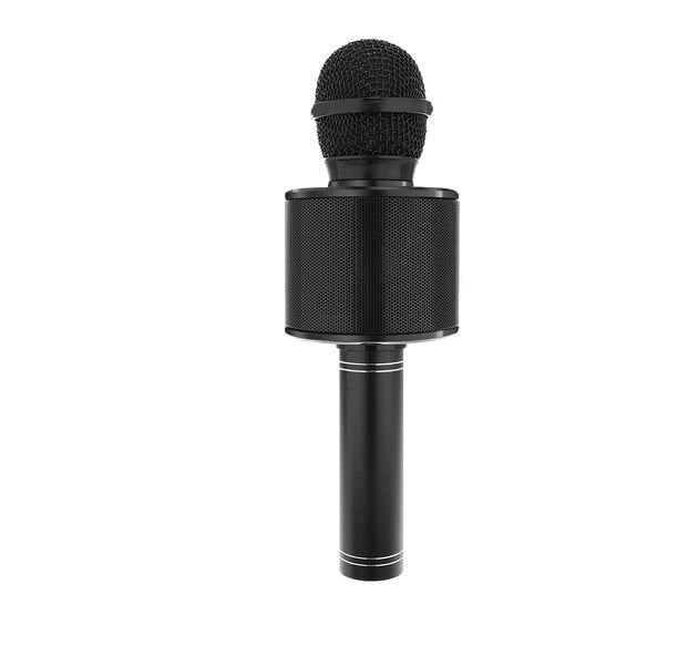 Karaoke mikrofons, melns cena un informācija | Mikrofoni | 220.lv