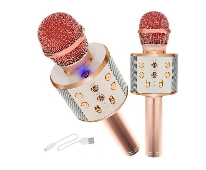 Karaoke mikrofons, gaiši rozā cena un informācija | Mikrofoni | 220.lv