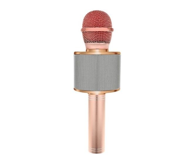 Karaoke mikrofons, gaiši rozā cena un informācija | Mikrofoni | 220.lv