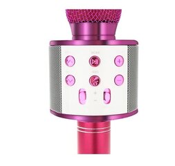 Karaoke mikrofons, rozā cena un informācija | Mikrofoni | 220.lv