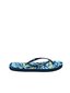 North Sails Flip-flops Sandy - WATER 095, zilas цена и информация | Iešļūcenes, čības sievietēm | 220.lv