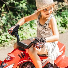 Детский электрический квадроцикл FALK, красный цена и информация | Электромобили для детей | 220.lv