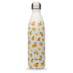 Ūdens pudele QWETCH Agrumes 750 ML QD3455 цена и информация | Фляги для воды | 220.lv