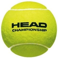 Āra tenisa bumbiņas Head Championship, dzeltenas cena un informācija | Āra tenisa preces | 220.lv