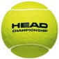 Āra tenisa bumbiņas Head Championship, dzeltenas цена и информация | Āra tenisa preces | 220.lv