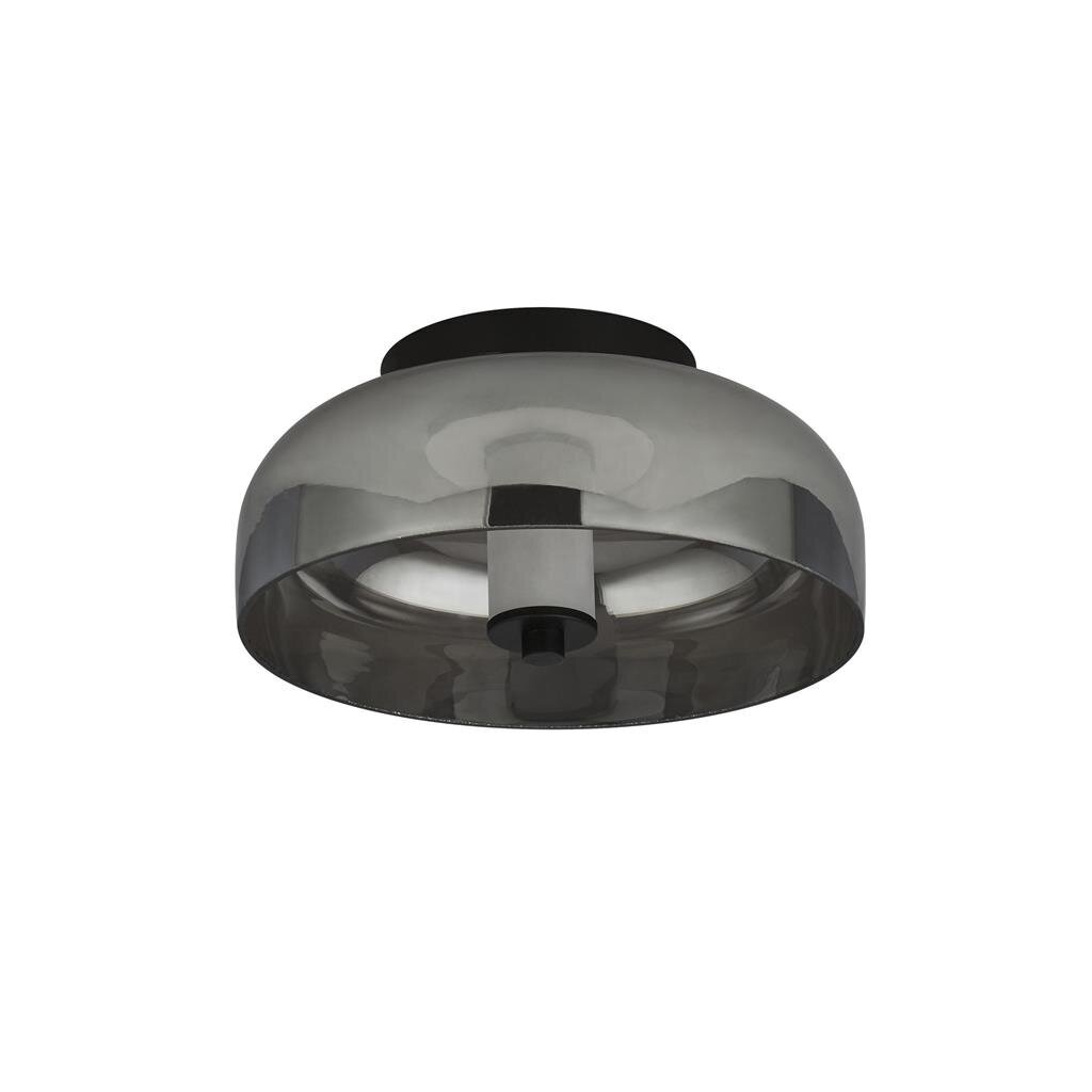 Searchlight griestu lampa Frisbee 59804-1SM cena un informācija | Griestu lampas | 220.lv