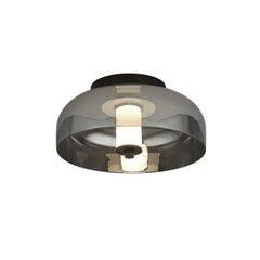 Searchlight потолочный светильник Frisbee 59804-1SM цена и информация | Потолочные светильники | 220.lv