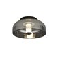 Searchlight griestu lampa Frisbee 59804-1SM цена и информация | Griestu lampas | 220.lv