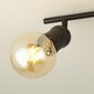 Searchlight griestu lampa Dance 45202-4BK цена и информация | Griestu lampas | 220.lv