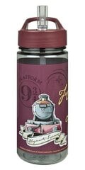 Бутылка Гарри Поттер  500 мл цена и информация | Фляги для воды | 220.lv