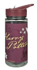 Pudele Harry Poter, 500ml cena un informācija | Ūdens pudeles | 220.lv