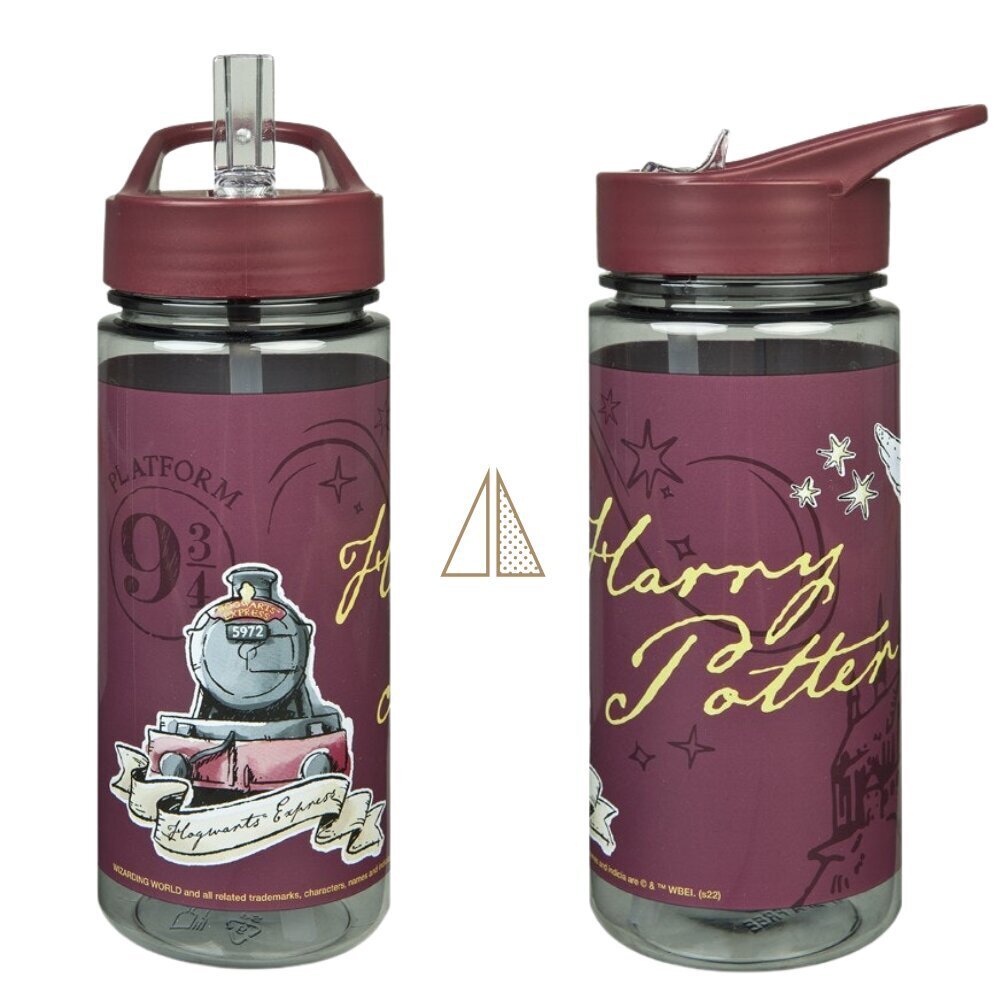 Pudele Harry Poter, 500ml цена и информация | Ūdens pudeles | 220.lv