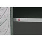 Skapītis DKD Home Decor Metāls Koks Tirkīzs Balts 106 x 48 x 208 cm cena un informācija | Kumodes | 220.lv