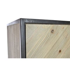 Шкаф DKD Home Decor Ель Металл (92 x 40 x 195 cm) цена и информация | Комоды | 220.lv