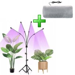 Grow Light цена и информация | Проращиватели, лампы для растений | 220.lv