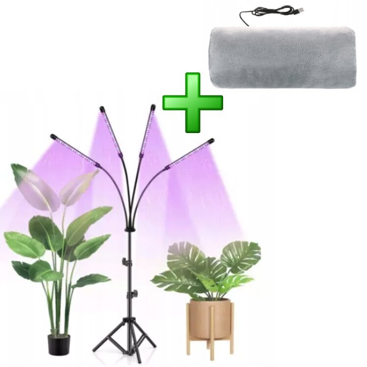 Grow Light цена и информация | Diedzēšanas trauki, augu lampas | 220.lv