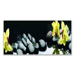 Reprodukcija ziedu akmeņi cena un informācija | Gleznas | 220.lv