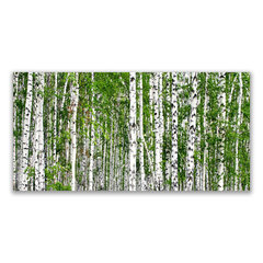 Reprodukcija Bērza meža koki daba cena un informācija | Gleznas | 220.lv