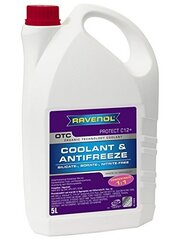 Dzesēšanas šķidrums Ravenol OTC Protect C12+ koncentrāts, 5L цена и информация | Очищающие и охлаждающие жидкости | 220.lv