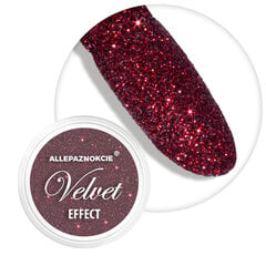 Средство для украшения ногтей Velvet Effect Nr 10 цена и информация | Средства для маникюра и педикюра | 220.lv
