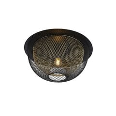 Searchlight потолочный светильник Honeycomb  6840BGO цена и информация | Потолочные светильники | 220.lv