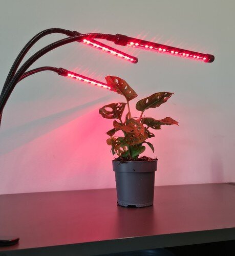 Grow Light cena un informācija | Diedzēšanas trauki, augu lampas | 220.lv