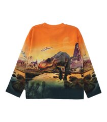 Детская толстовка Mountoo Molo, оранжевый/серый цена и информация | Свитеры, жилетки, пиджаки для мальчиков | 220.lv