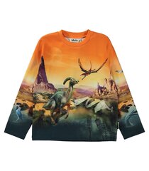 Sporta krekls bērniem Molo Mountoo1W23J204*3319, oranžs/pelēks 5715084459617 cena un informācija | Zēnu jakas, džemperi, žaketes, vestes | 220.lv