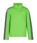 Sporta krekls bērniem Icepeak Fleminton JR 51712-2*540, zaļš 6438522715029 cena un informācija | Jakas, džemperi, žaketes, vestes meitenēm | 220.lv