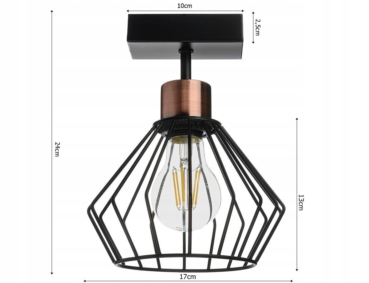 Ledlux griestu lampa цена и информация | Griestu lampas | 220.lv