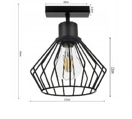 Ledlux griestu lampa цена и информация | Потолочные светильники | 220.lv