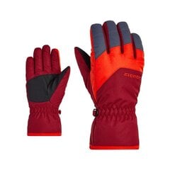 Детские перчатки Ziener Lando 801945-326421-6.5, краные цена и информация | Шапки, перчатки, шарфы для мальчиков | 220.lv