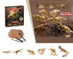 Rotaļlietu arheoloģijas izrakumu komplekts, dinozaura skelets цена и информация | Attīstošās rotaļlietas | 220.lv