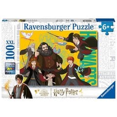 Пазл Ravensburger, 100 деталей, Гарри Поттер цена и информация | Пазлы | 220.lv