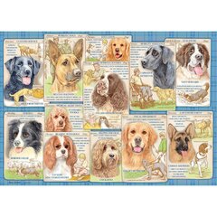 Ravensburger puzle 1000 gab. Paklausīgi suņi cena un informācija | Puzles, 3D puzles | 220.lv