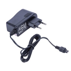 Зарядное устройство L200 для видеокамеры SONY (8.4 В, 1.7 А) цена и информация | Зарядные устройства для видеокамер | 220.lv