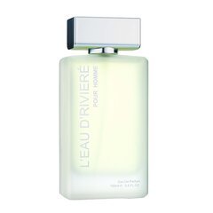 Parfimērijas ūdens Fragrance World L'Eau D'Riviere Pour Homme EDP vīriešiem, 100 ml cena un informācija | Vīriešu smaržas | 220.lv