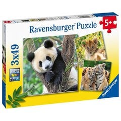 Ravensburger puzle 3x49 gab Mežonīga daba cena un informācija | Puzles, 3D puzles | 220.lv