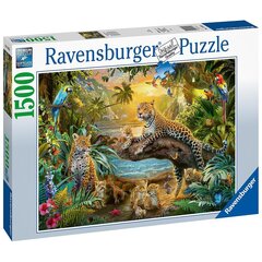 Ravensburger puzle 1500 gabali, Savanna atdzīvojas cena un informācija | Puzles, 3D puzles | 220.lv