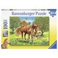 Ravensburger puzle 100 gab. Zirgi cena un informācija | Puzles, 3D puzles | 220.lv